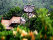 2005걱¶I(yng)(hu)8ѮڑŹȿ_Ļ