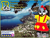 ĴɽKomfort-Campingpark Burgstaller ¶I