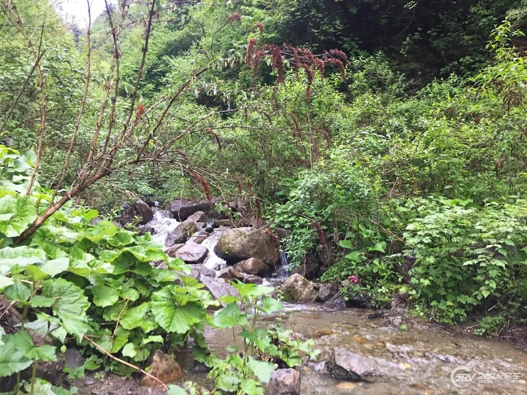 ΢ňDƬ_20180605093717.jpg