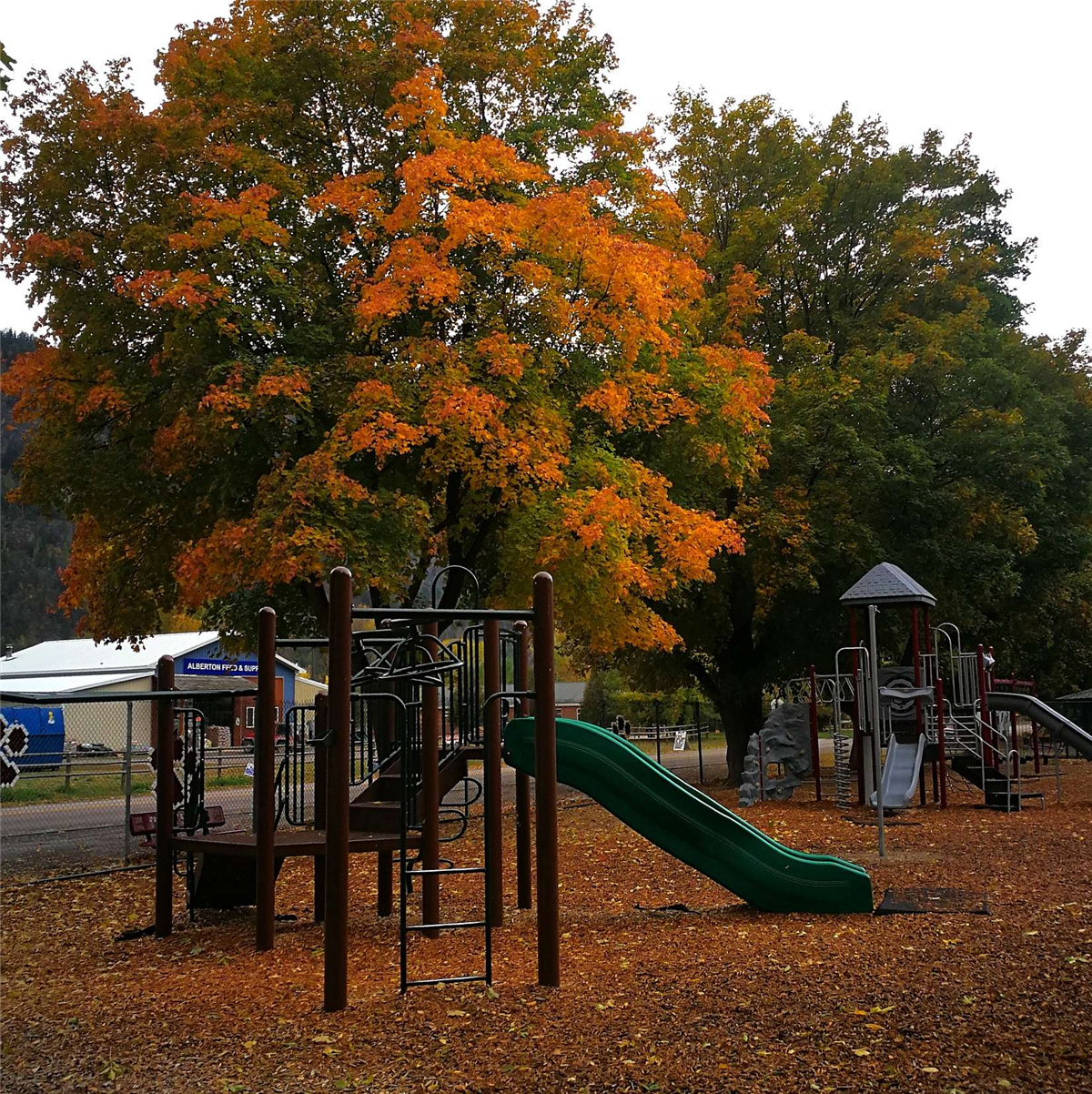 ΢ňDƬ_20181011085956.jpg