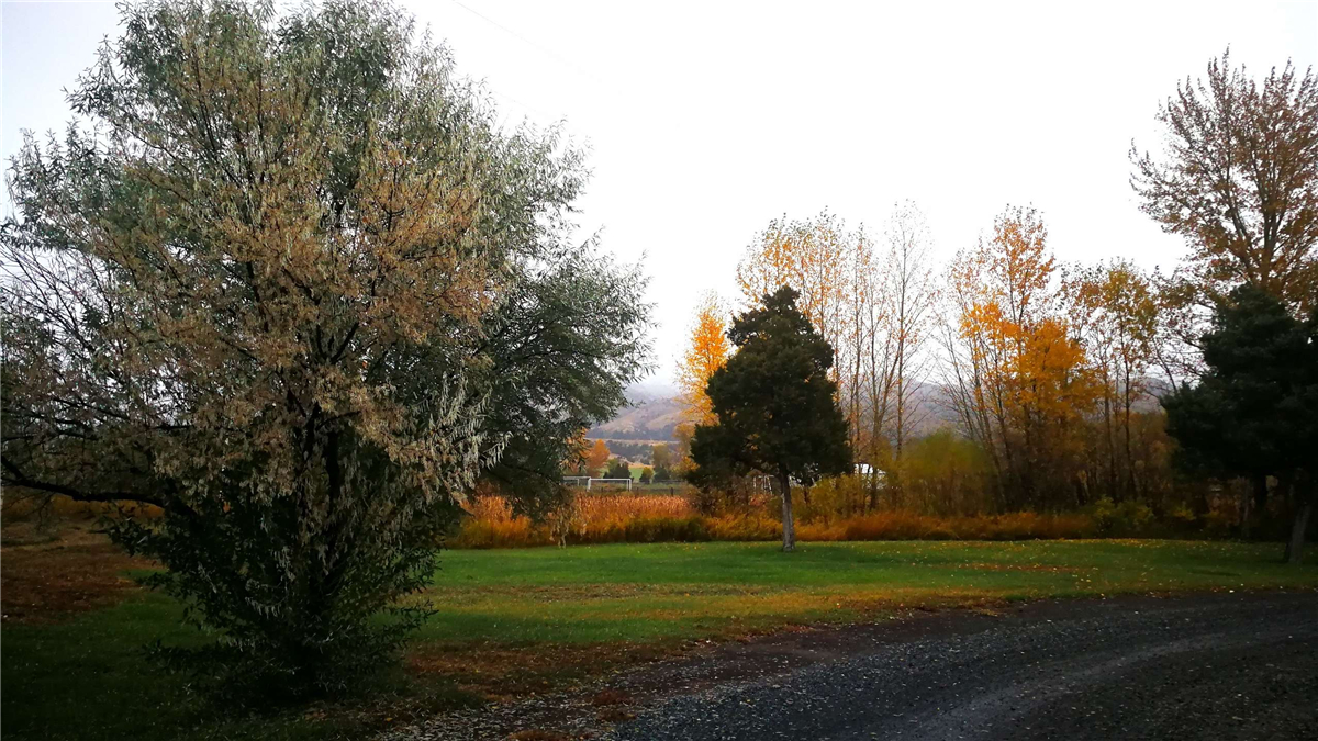 ΢ňDƬ_20181011090135.jpg