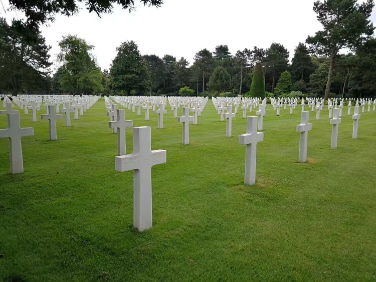 49.jpg