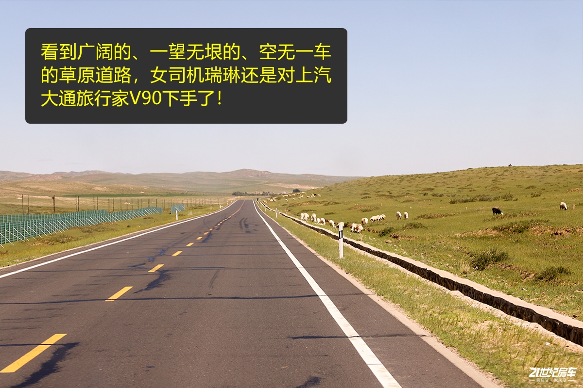 a15.jpg