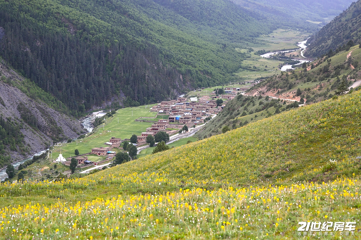 339A5426޸.jpg